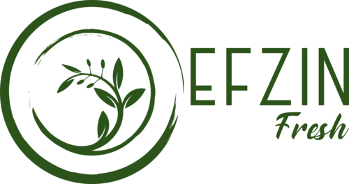 Efzin Fresh Logo